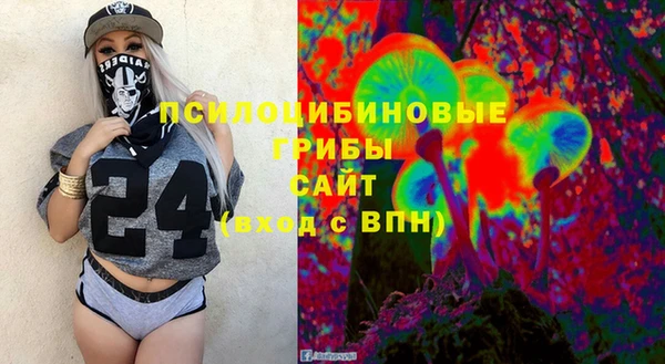 дурь Алексеевка