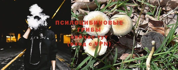 дурь Алексеевка