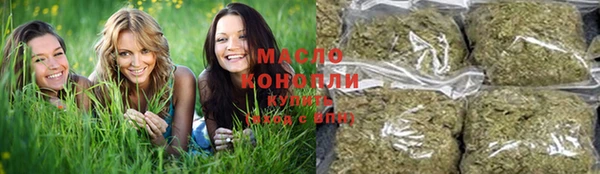 гидропоника Рославль
