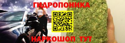 шишки Кингисепп