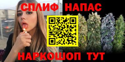 мяу мяу мука Кимры