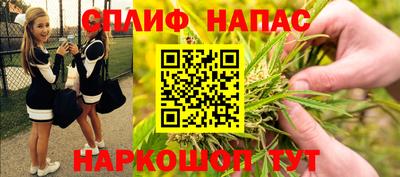 шишки Кингисепп