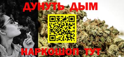 шишки Кингисепп
