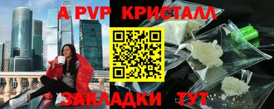 шишки Кингисепп