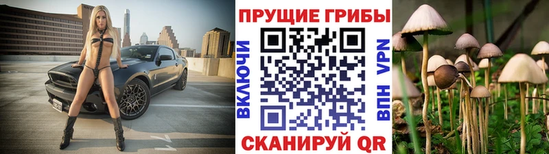 продажа наркотиков Ленинск-Кузнецкий Псилоцибиновые грибы прущие грибы