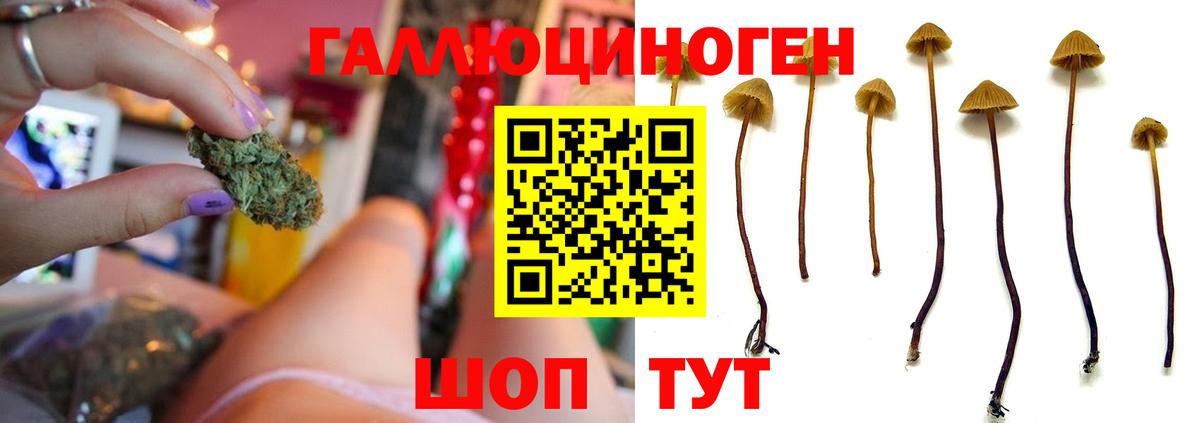 Ленинск-Кузнецкий  Галлюциногенные грибы ЛСД  Вход с VPN 